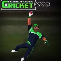 Cricket Fielder Challenge Game Games Unblocked