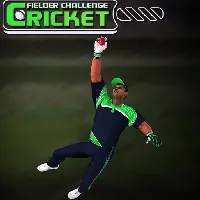 Cricket Fielder Challenge Game Games Unblocked